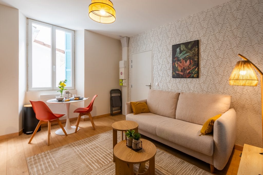 salon-lumineux-appartement-vacances-lourdes