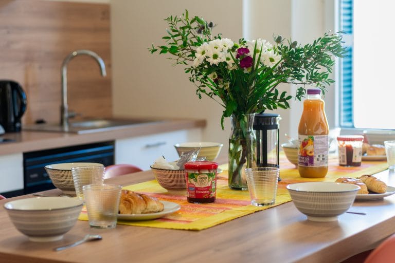 appartement-belvedere-location-lourdes-centre-le-le-pavillon-bleu