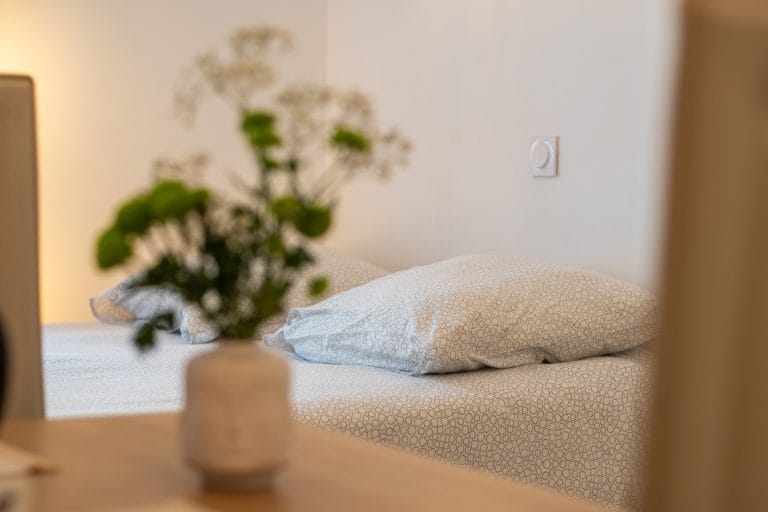 studio-relax-location-appartement-lourdes-proche-randonnee-pavillon-bleu